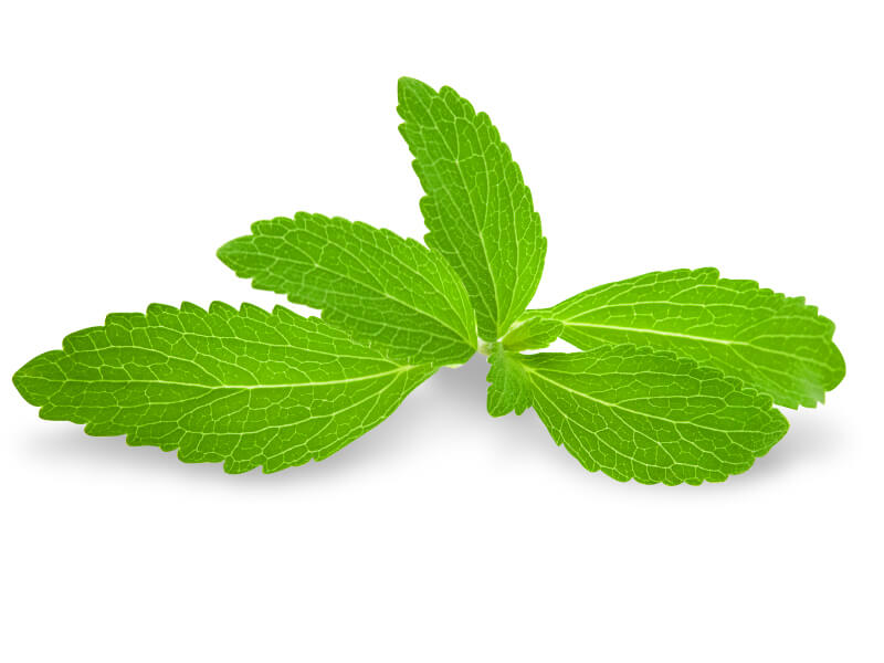 stevia plant companies list