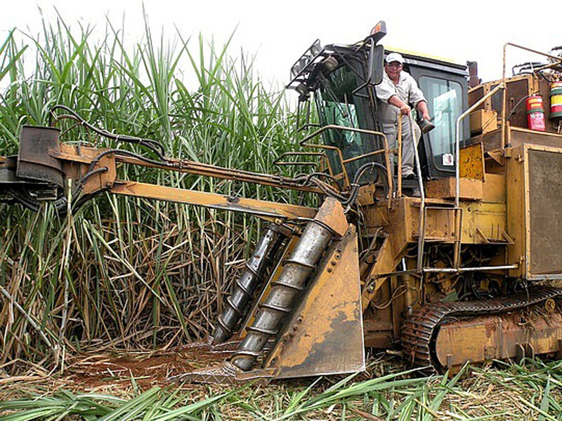 sugarcane cutting machine companies list