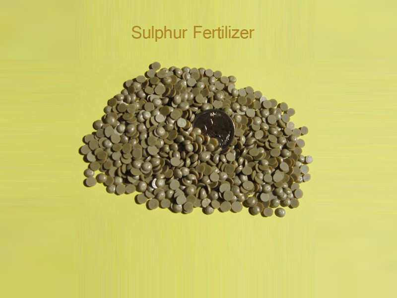 sulphur fertilizer companies list