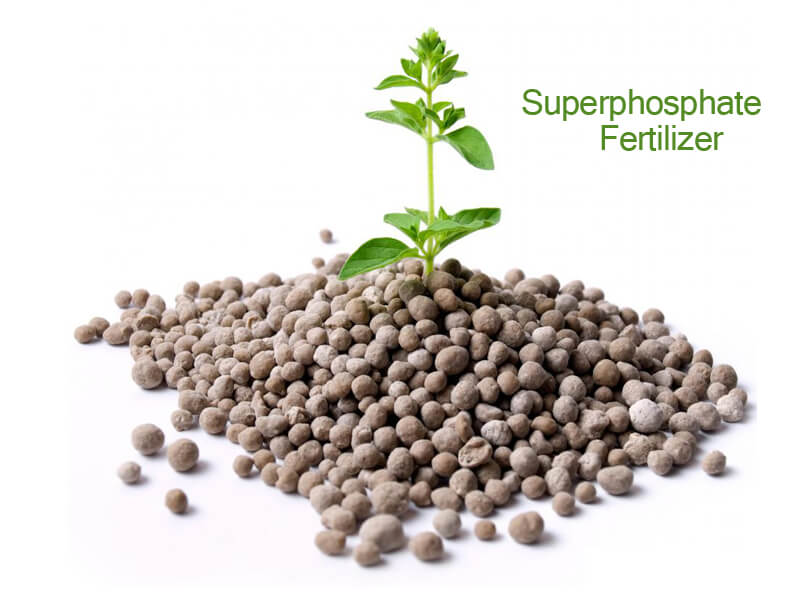 superphosphate fertilizer companies list