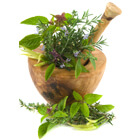 ayurvedic medicinal plants