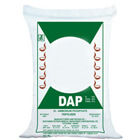 dap fertilizer 