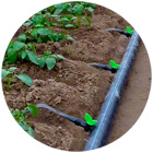 drip irrigation