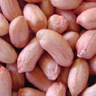 groundnut seeds