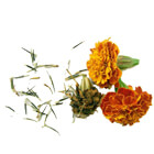 marigold seeds