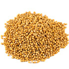 mustard seeds