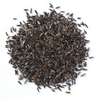 niger seeds